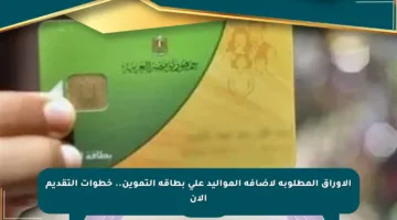 الأوراق المطلوبة لإضافة المواليد على بطاقة التموين.. خطوات التقديم الآن
